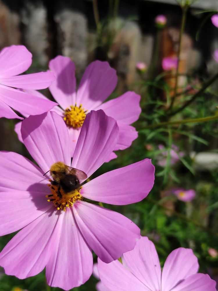 Photograph by Микка