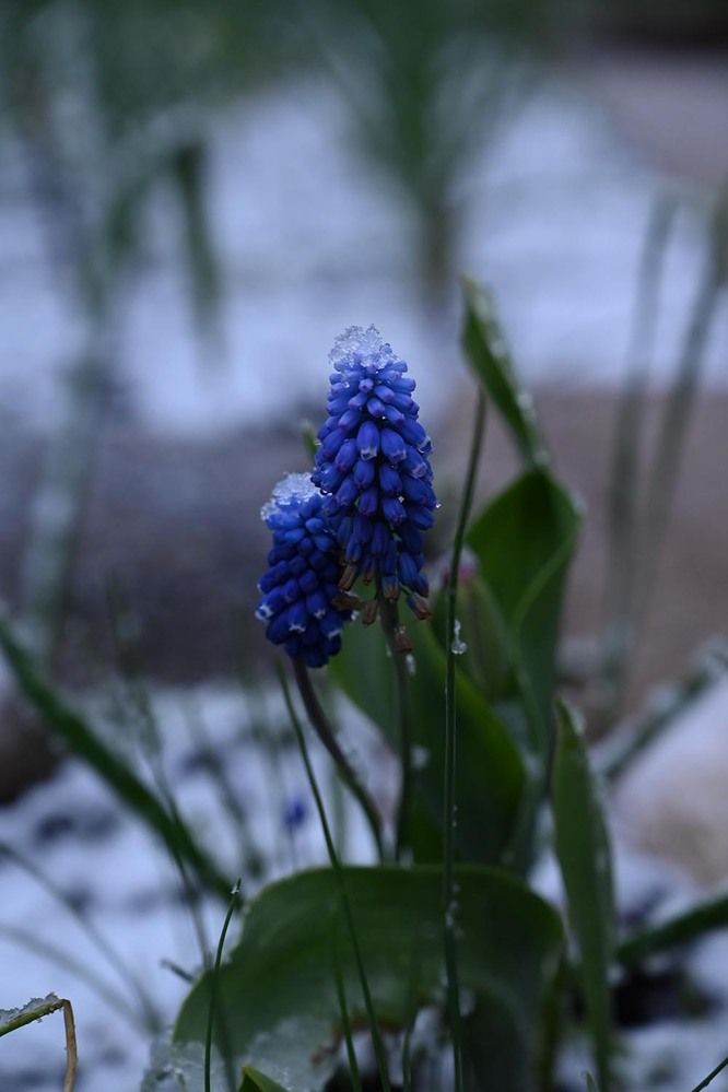 Photograph by Ксения