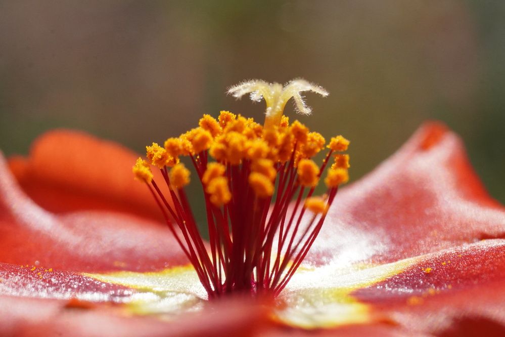 Photograph by Алфия Бугакова