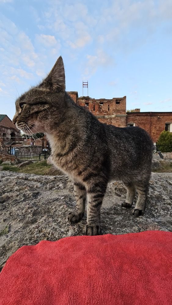Photograph by Александр Петуховский