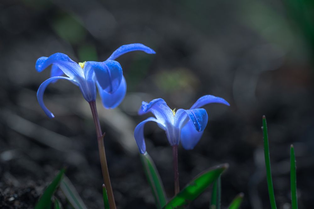 Photograph by Дмитрий Кудрявцев