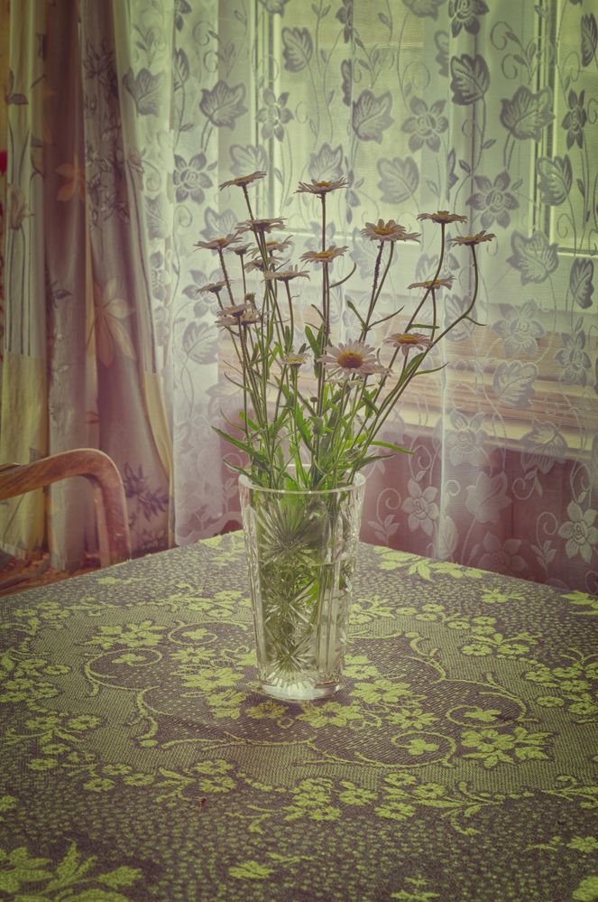 Photograph by Дмитрий Кудрявцев