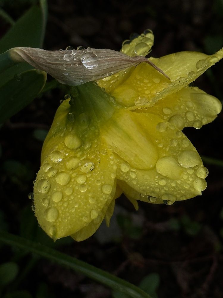 Фотография автора Елена Меньшикова