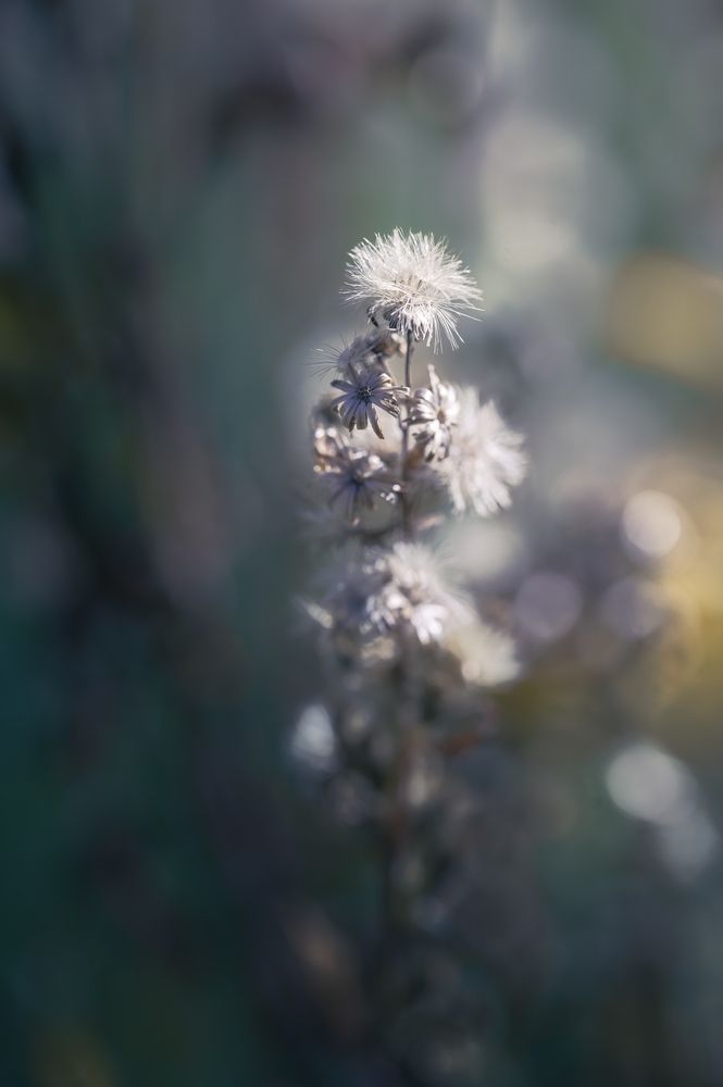 Photograph by Дмитрий Кудрявцев