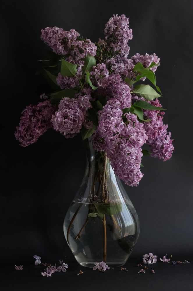 Photograph by Mayya Khrolovich