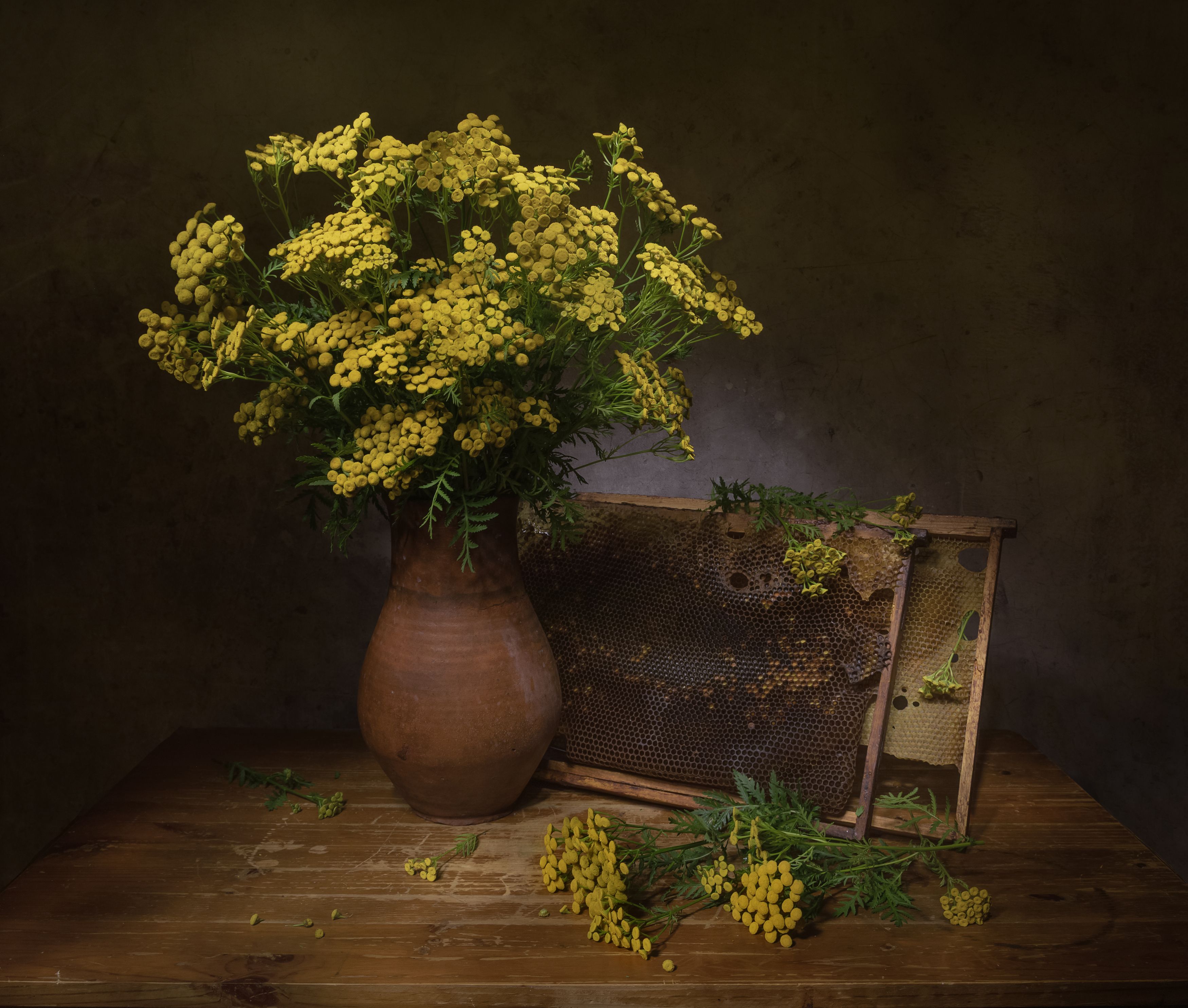 Photograph by Татьяна Феденкова