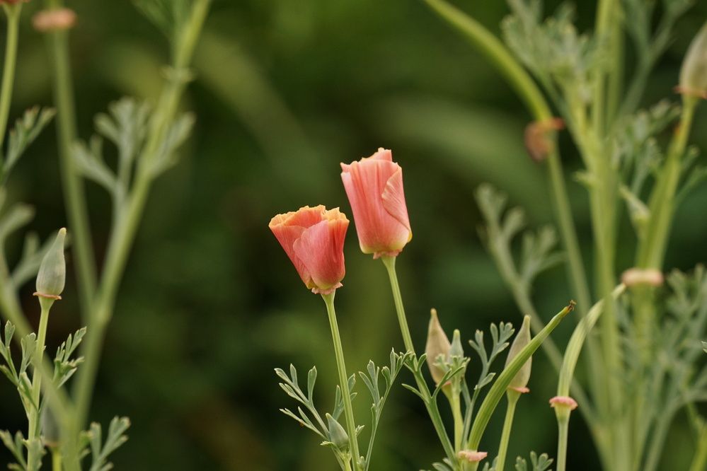 Photograph by Алфия Бугакова