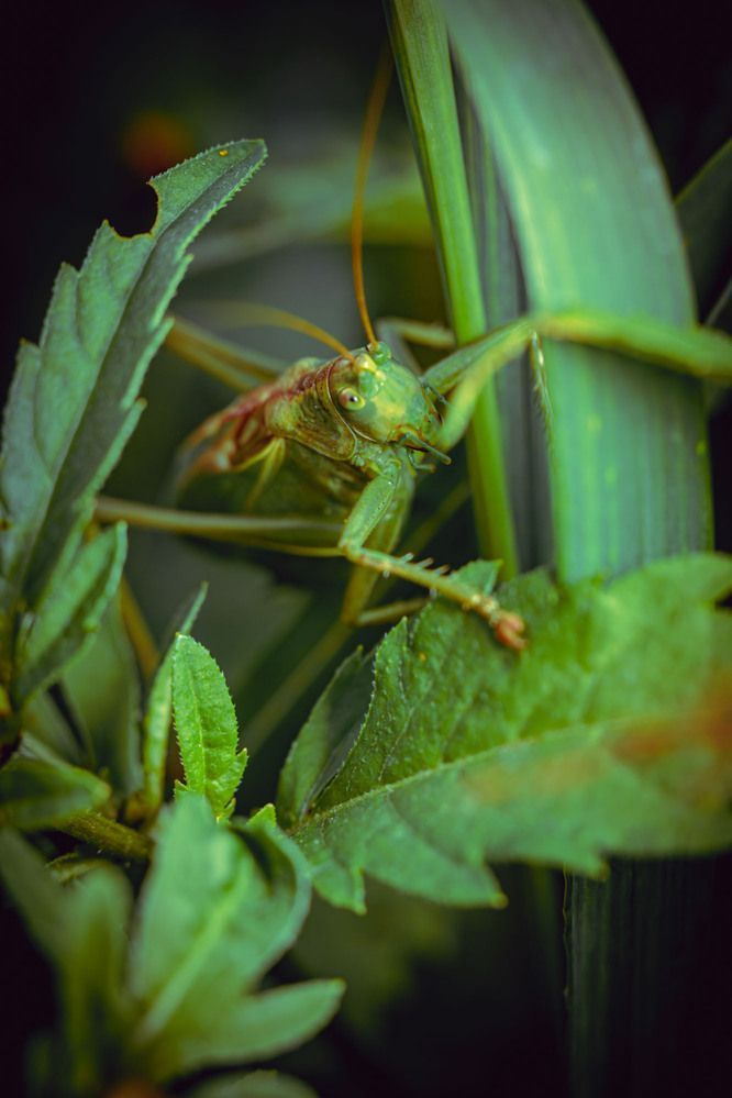 Photograph by Назаредский Сергей