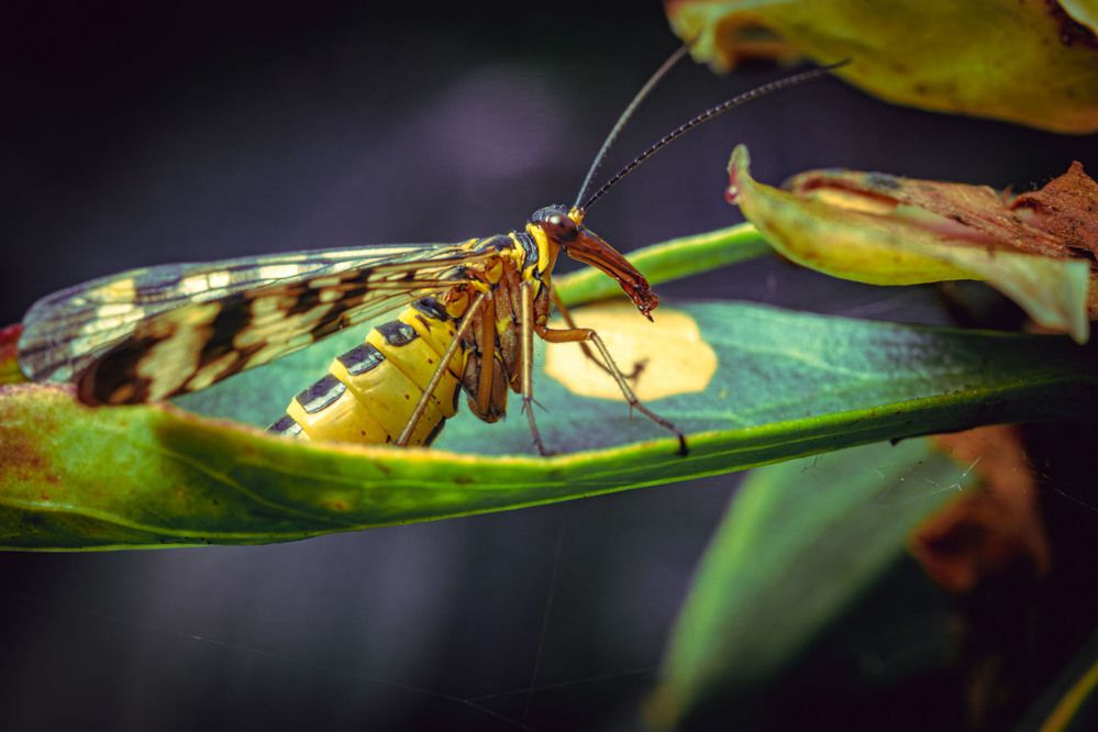 Photograph by Сергей Назаредский