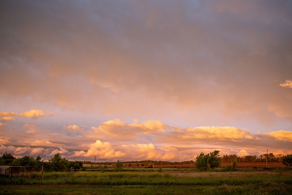 Photograph by Ирина Федорищева