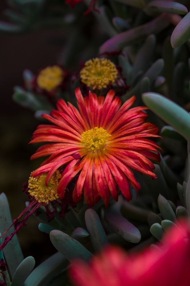 Photograph by zahra salardini