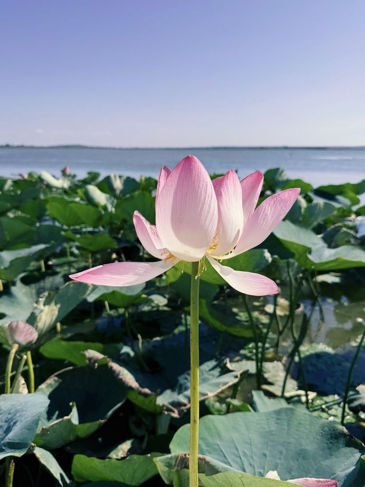 Photograph by Кристина Сидорова