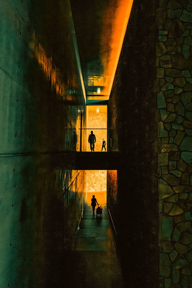 Pathway of Light