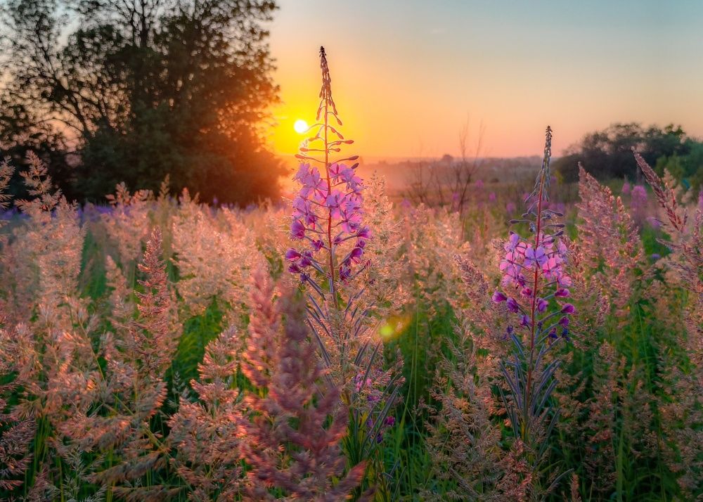 Photograph by Кондрашова Светлана