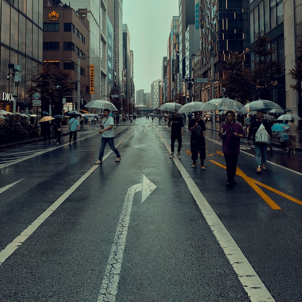 Photograph by Pouyan Safavi