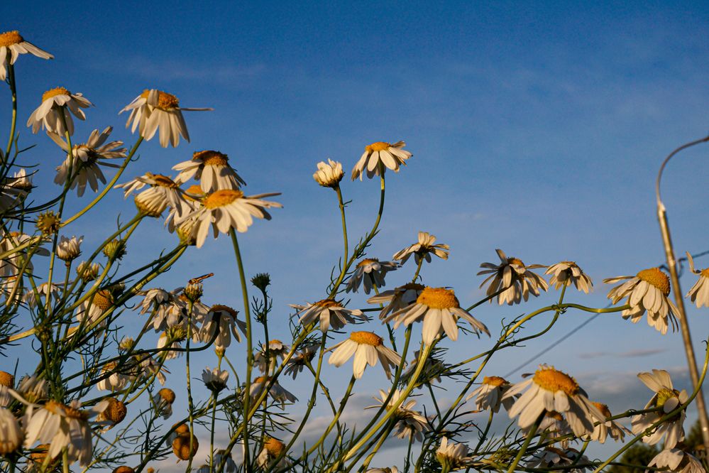 Photograph by Алфия Бугакова