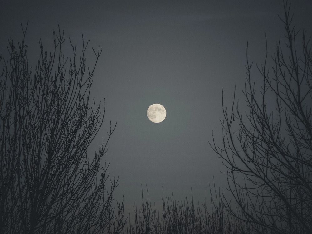 Photograph by Кирилл Сидоров