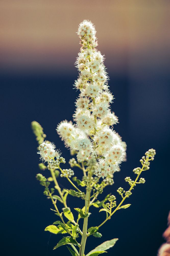 Photograph by Ivan Kravchenko