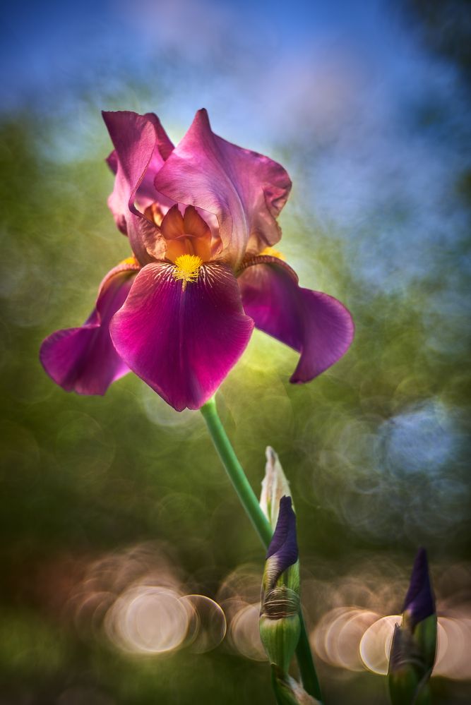 Фотография автора Владислав Храмцов