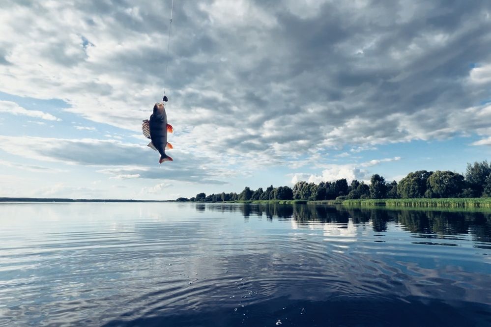 Photograph by Юлия Честнова