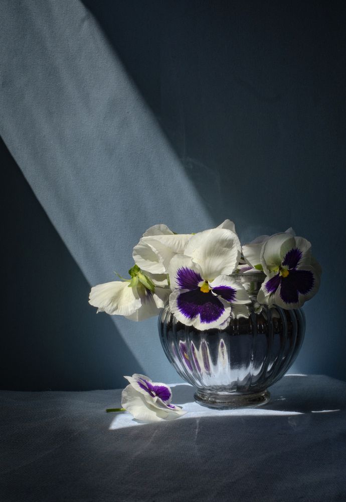 Фотография автора Tатьяна Дин