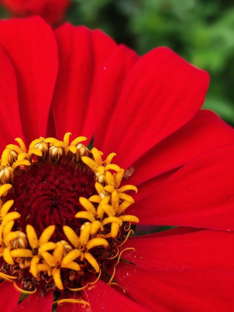 Photograph by Алёна Монахова