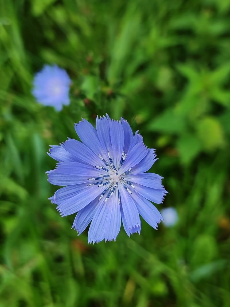 Photograph by Алёна Монахова