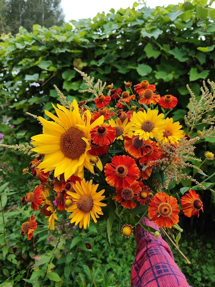 Photograph by Алёна Монахова