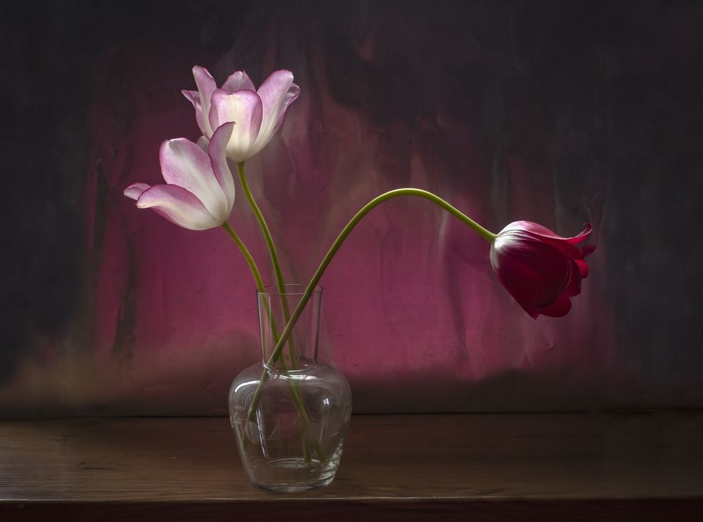 Фотография автора Tатьяна Дин