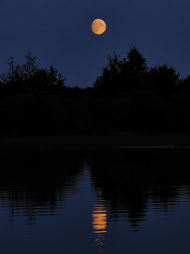 Photograph by Екатерина