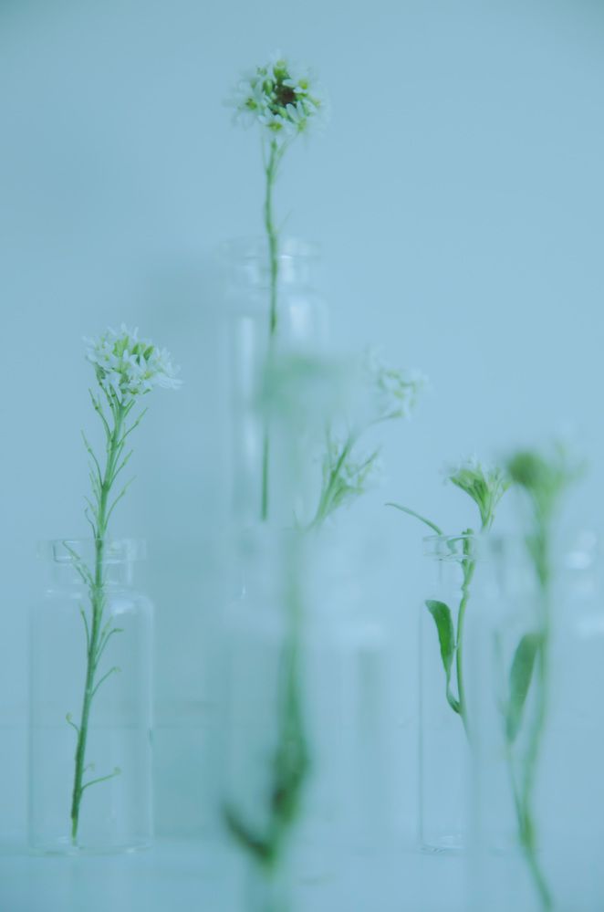 Photograph by Ульяна Бедрицкая