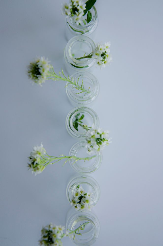 Photograph by Ульяна Бедрицкая