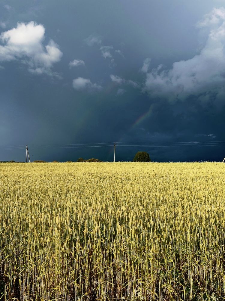 Photograph by Mariia Zinina