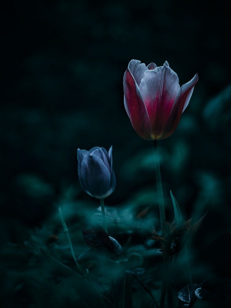 Photograph by Литвинова Галина