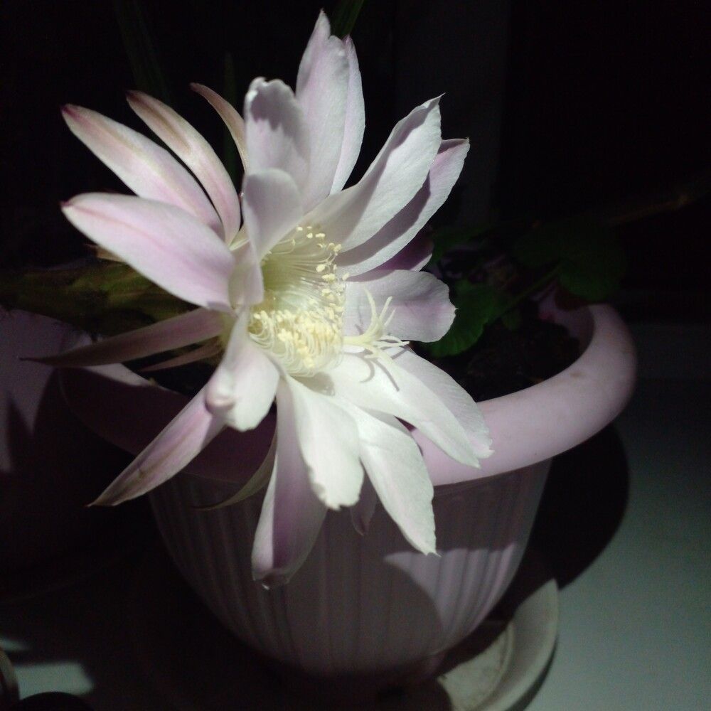 Photograph by Гульназ Янбахтина