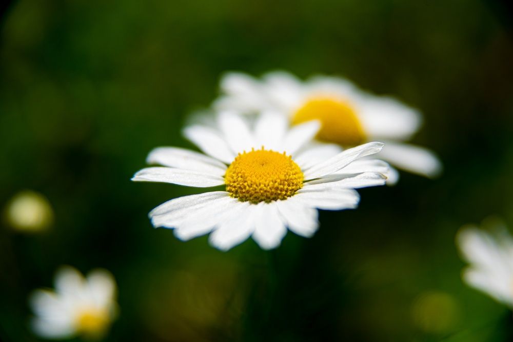 Фотография автора Наталия Шарова