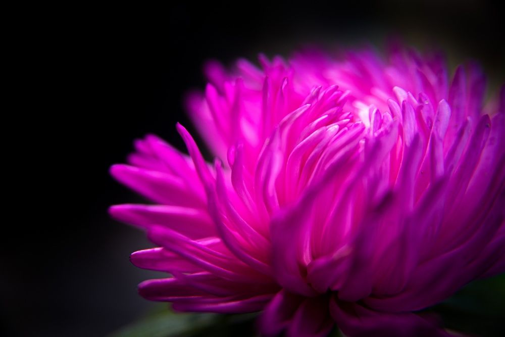 Фотография автора Наталия Шарова