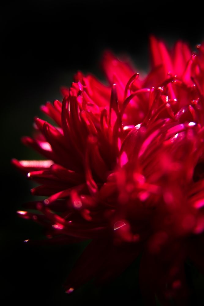 Фотография автора Наталия Шарова