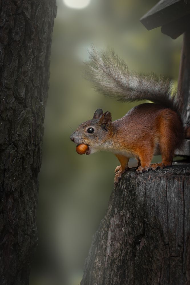 Photograph by Людмила Подольская