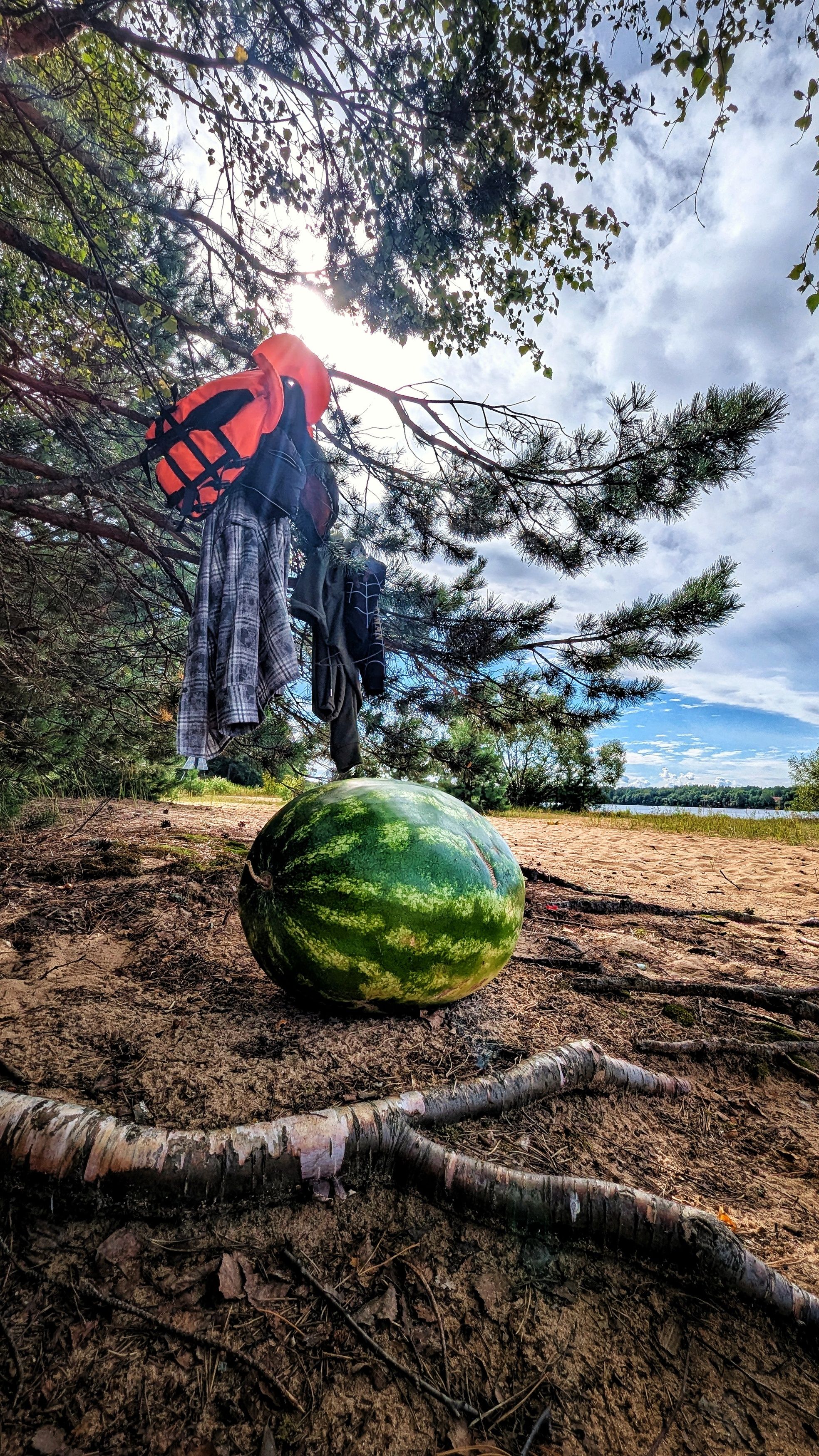 Photograph by Ирина Багдасарова