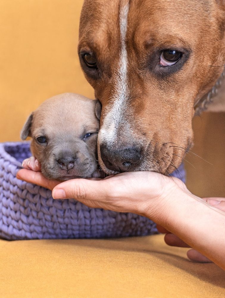 Photograph by Юлия Сидорова