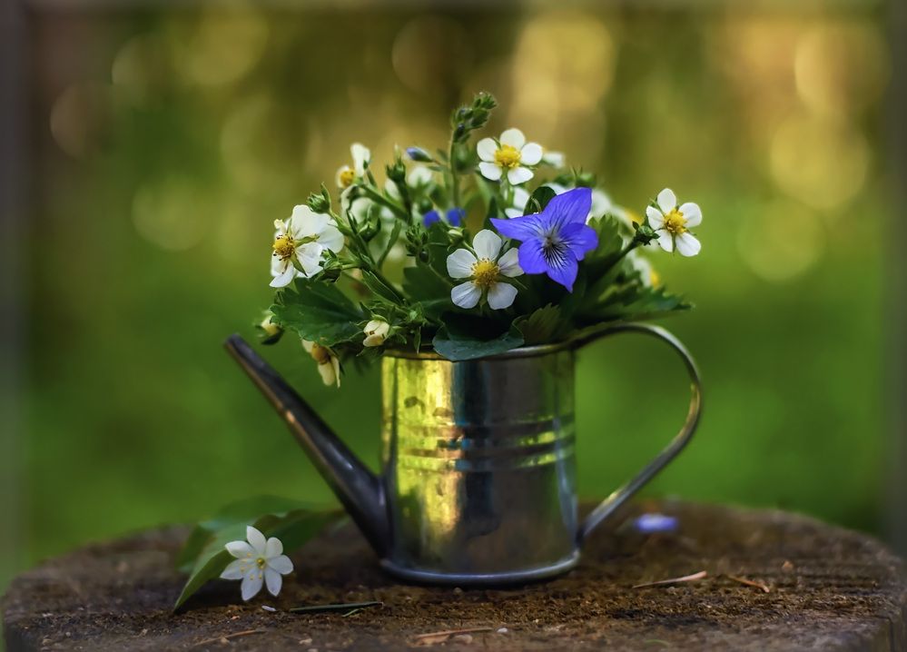 Весеннее настроение.