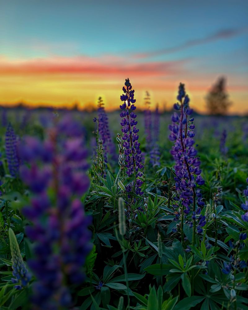 Photograph by Наталья Балабанова