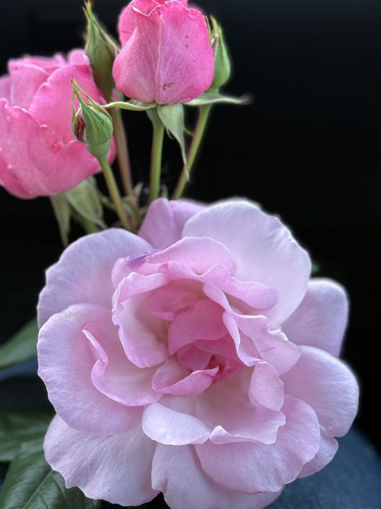 Photograph by Марина Дикманн