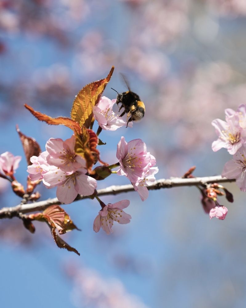 Photograph by Юлия Сидорова