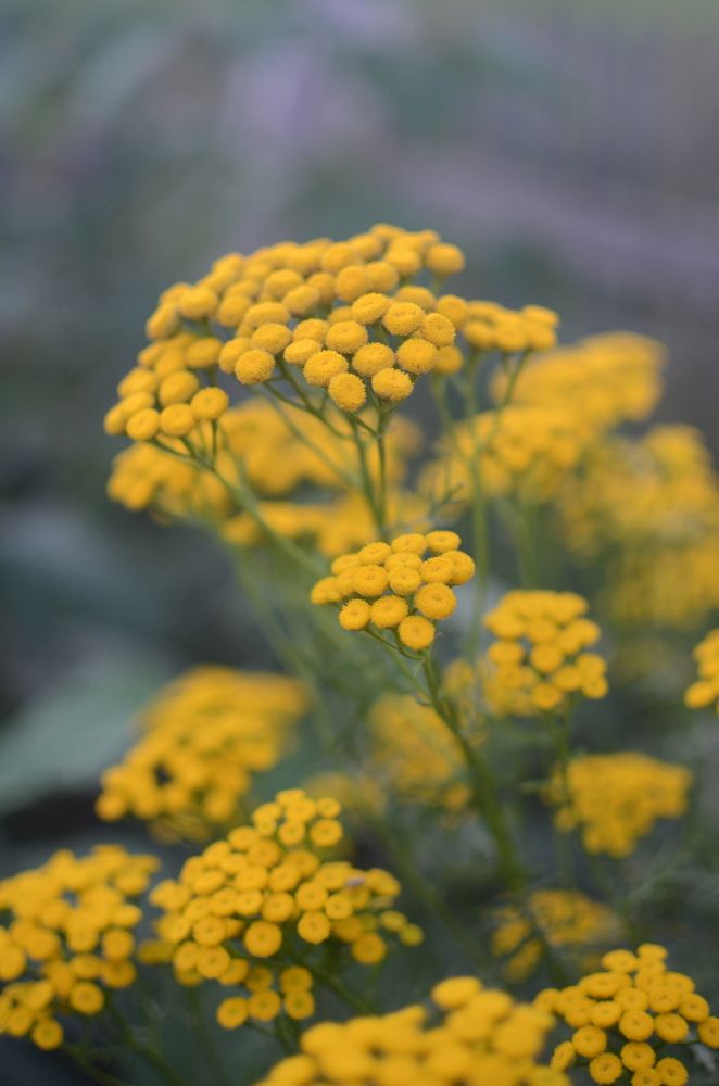 Фотография автора Ольга Жлоба