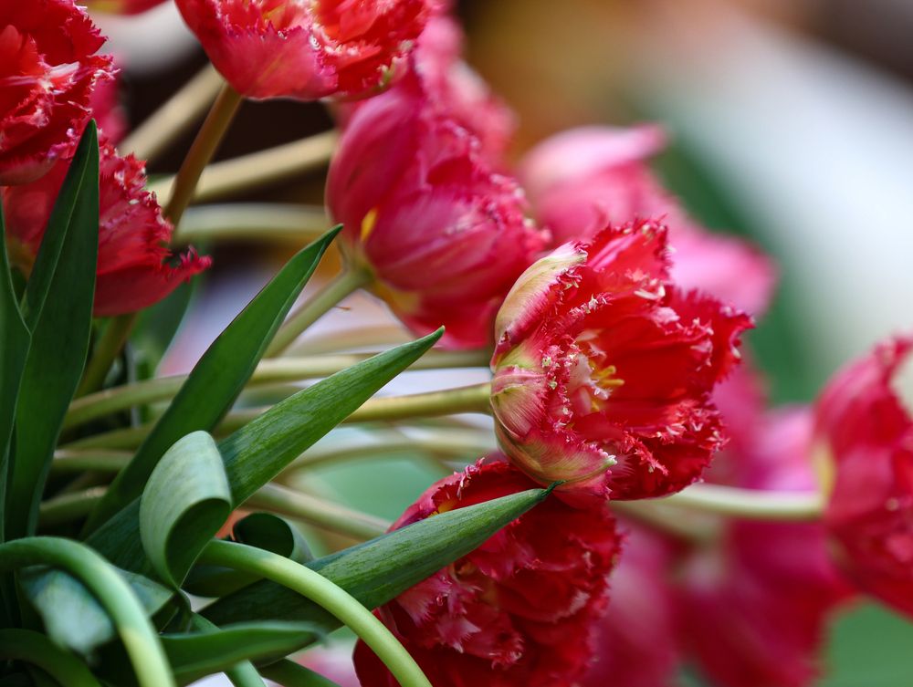 Фотография автора Воронина Татьяна