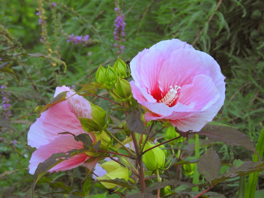 Photograph by Emil Zivanov