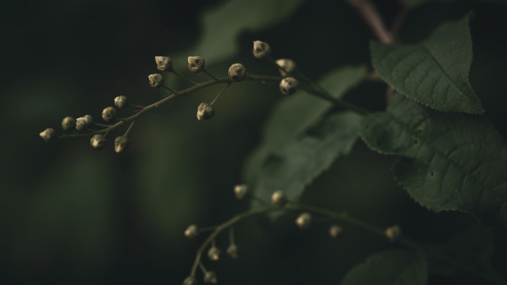 Фотография автора Войнов Дмитрий