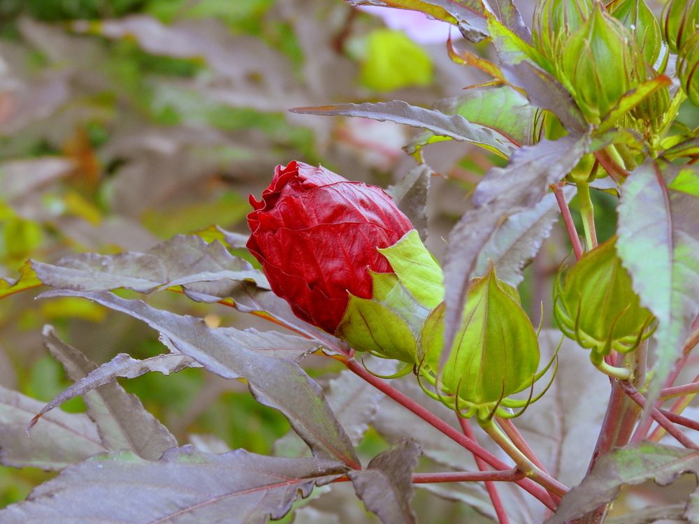 Photograph by Emil Zivanov